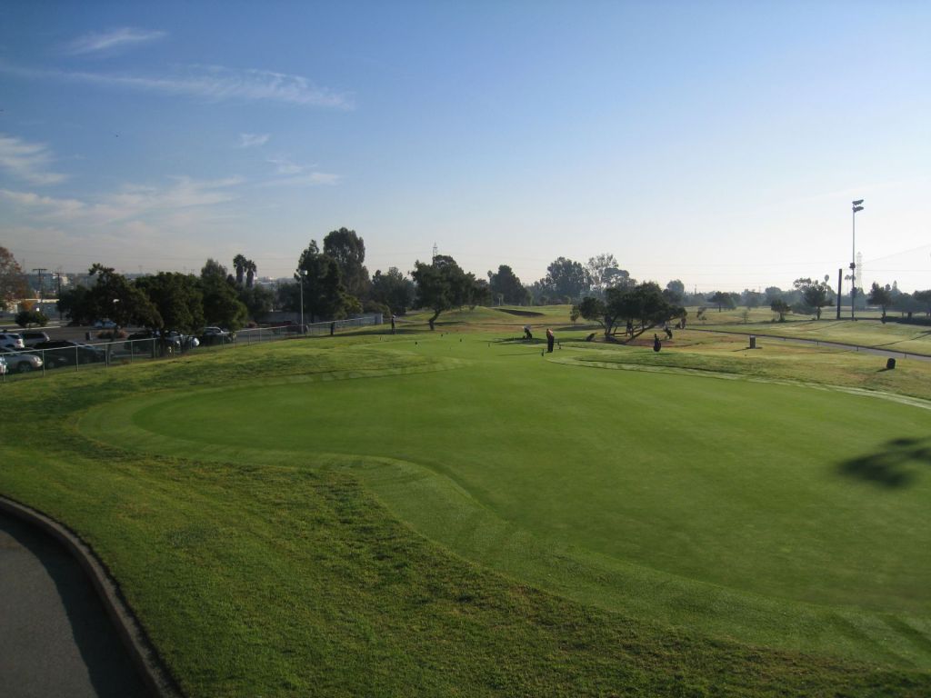 golf course with trees