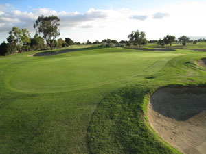 golf course green