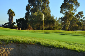 flag of golf course