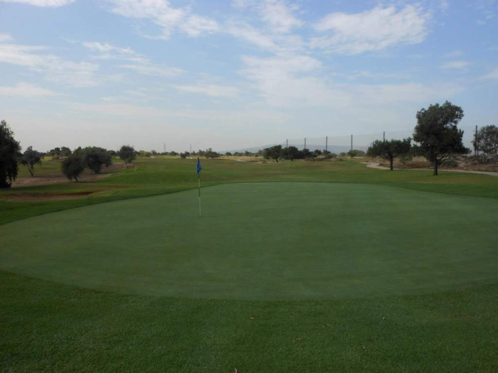 view of golf course green