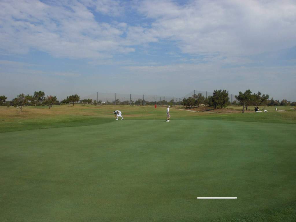 golf course with golfers