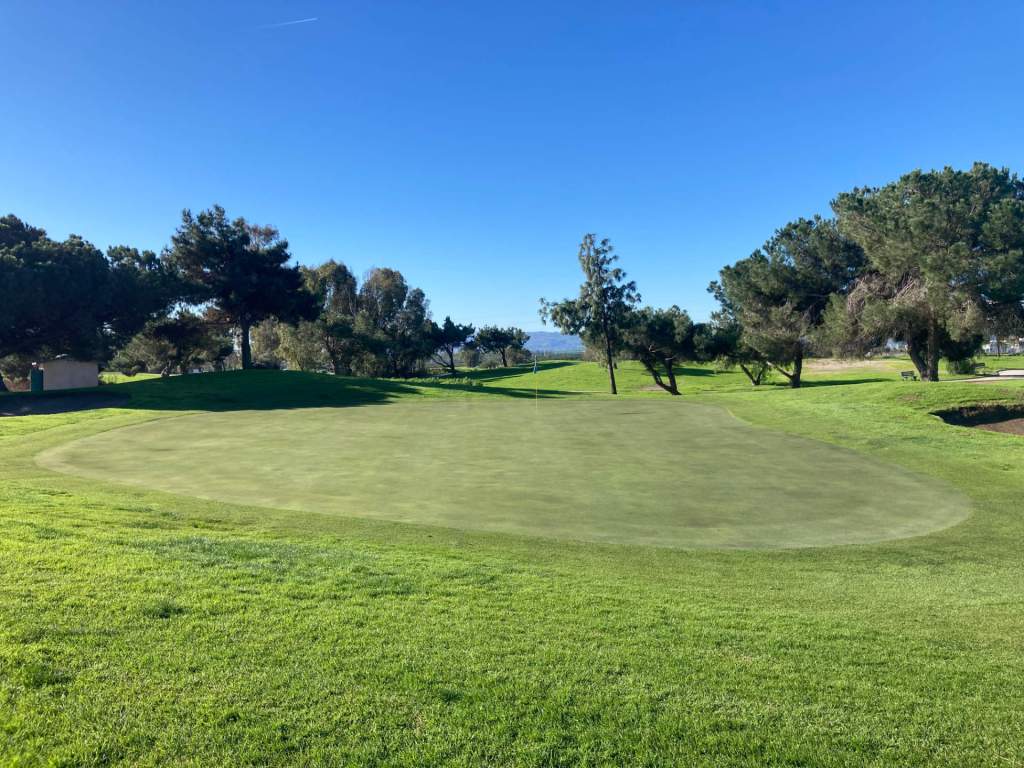 view of trees on golf course green